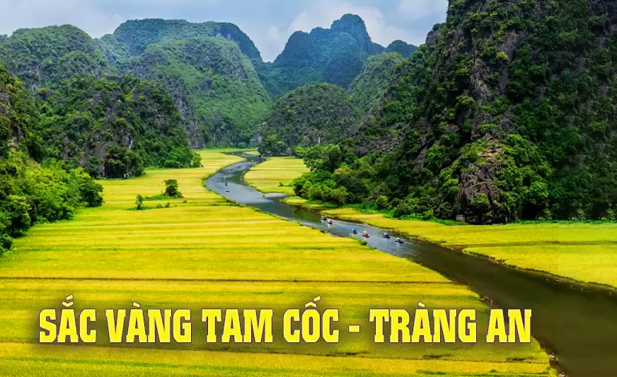 Tổng đài xe ghép Ninh Bình